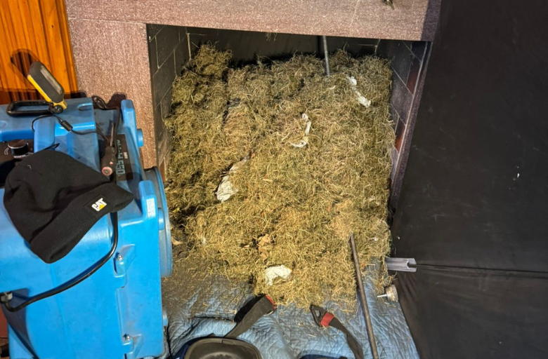 10 Signs Your Dryer Vent Needs Cleaning