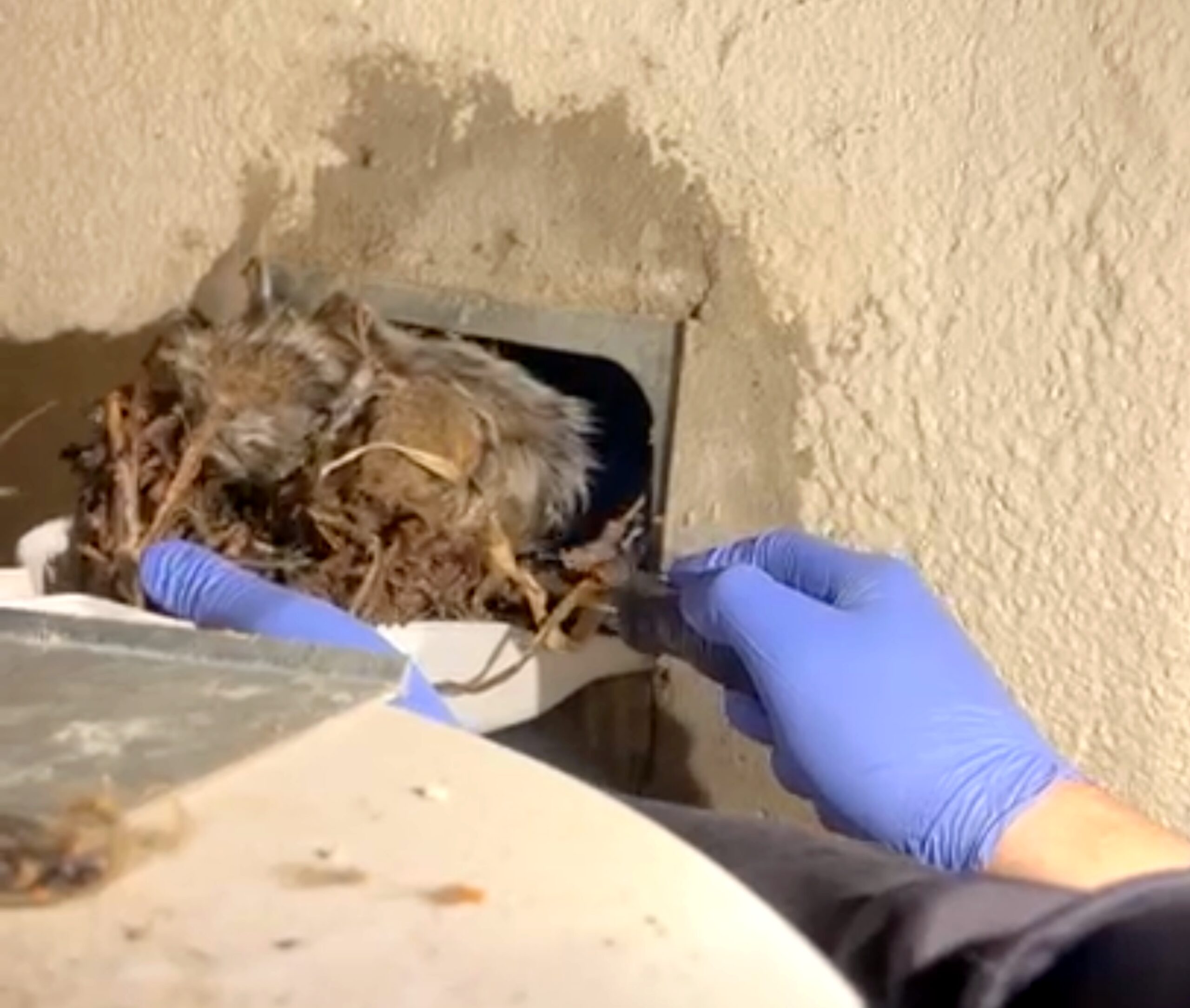 10 Signs Your Dryer Vent Needs Cleaning