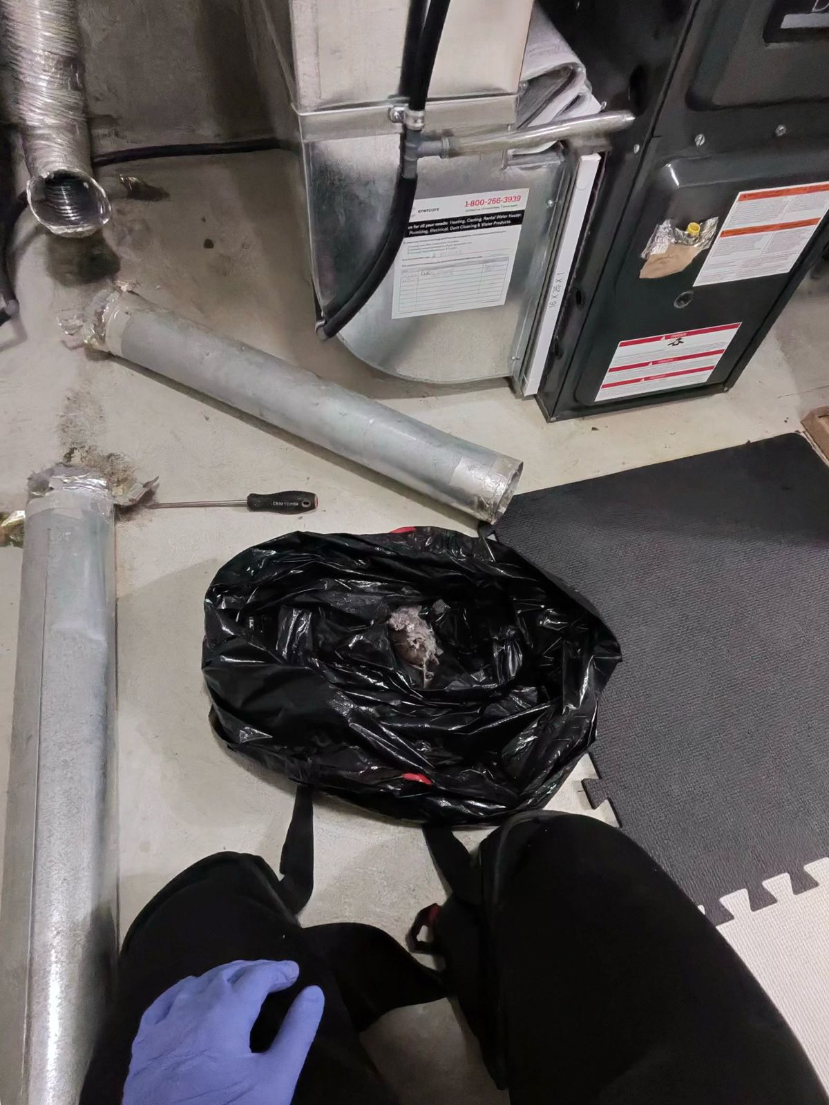 10 Signs Your Dryer Vent Needs Cleaning