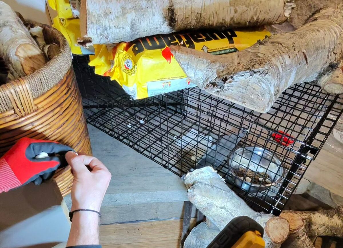 10 Signs Your Dryer Vent Needs Cleaning