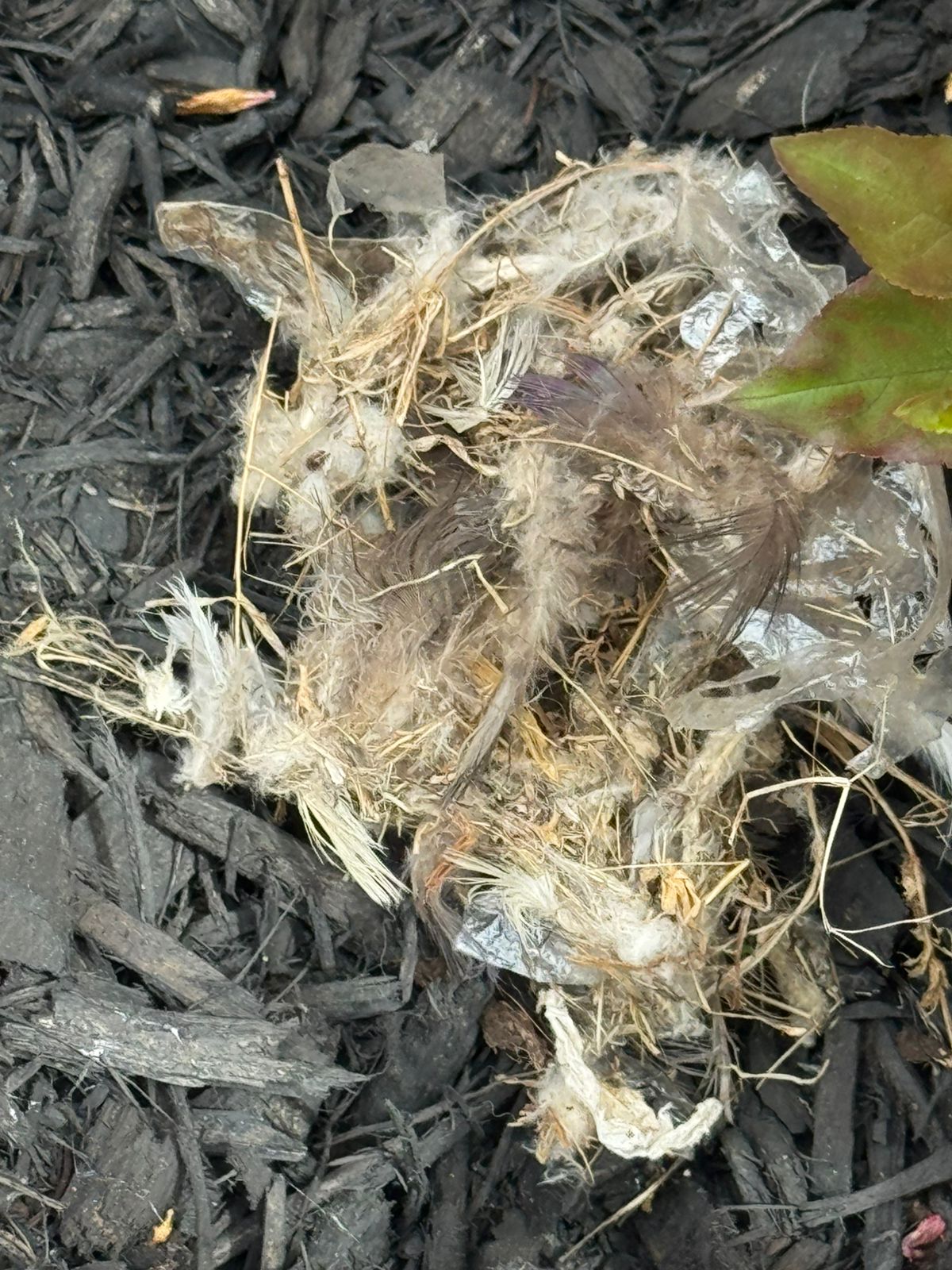 10 Signs Your Dryer Vent Needs Cleaning