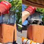 Chimney Cap Installation Markham: Bird Nest Removal