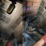 Chimney Cleaning North York: Squirrel Nest Removal Case Study